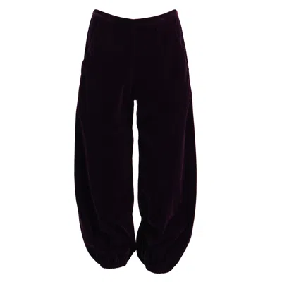 Kristinit Women's Purple Plum Velvet Le Bel Age Pants