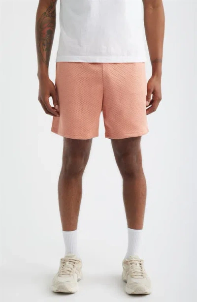 Krost Mesh Shorts In Brown