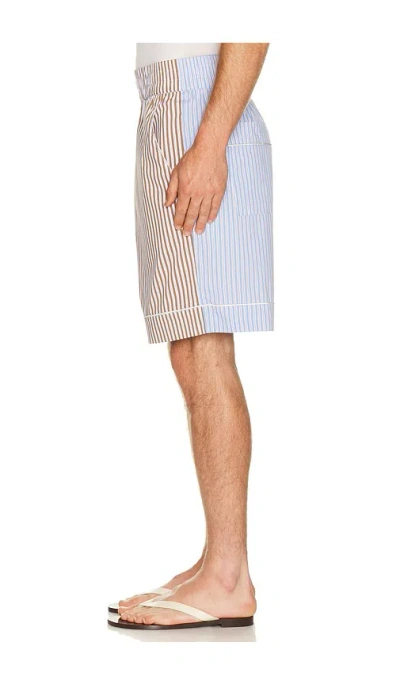 Krost Striped Short In Brown