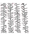 Kurt Adler 16-foot 480-light Rgb Led Multifunction Green Wire Cluster Garland With Remote In Multi
