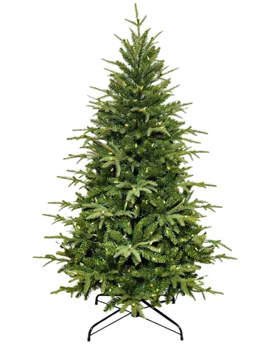Kurt Adler 5-foot 250-light Incandescent Grand Fir Tree In Green