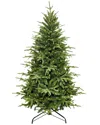 Kurt Adler 5-foot 250-light Incandescent Grand Fir Tree In Green