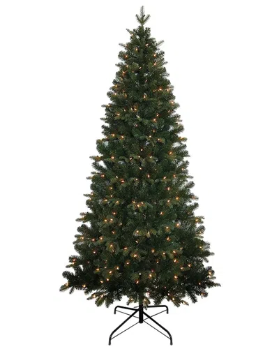 Kurt Adler 7-foot Pre-lit Clear Incandescent Studio Spruce Tree In Green