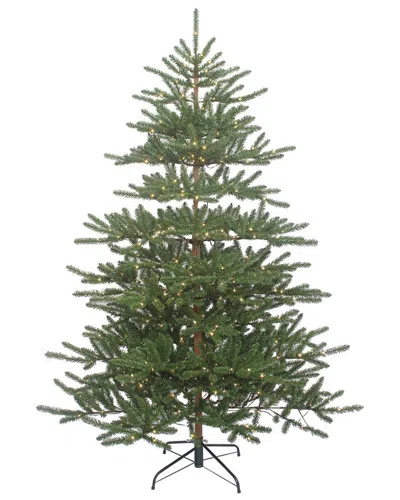 Kurt Adler 7-foot Pre-lit Warm White Led Mountain Pine Tree In Green