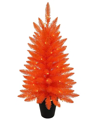 Kurt Adler Halloween Décor In Orange