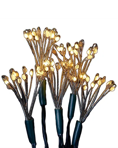 Kurt Adler Light Set In Gold