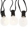 Kurt Adler Ul 10-light G40 Warm White Led Clear Glass Light Set In White