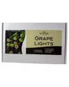 Kurt Adler Light Set