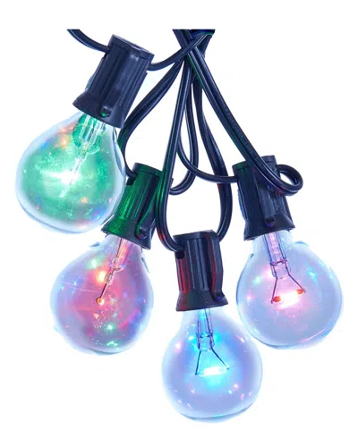 Kurt Adler Multi-led Light Set