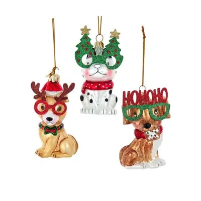Kurt Adler Noble Gems Glass Dog Christmas Ornaments, Assorted (pack Of 3) In Multicolor