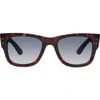 Kurt Geiger London 52mm Square Sunglasses In Havana/smoke Gradient