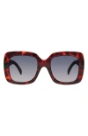 Kurt Geiger London 53mm Square Sunglasses In Brown