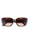Kurt Geiger London Square Sunglasses In Brown