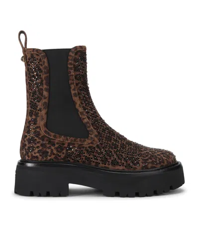 Kurt Geiger London Suede Perf Ankle Chelsea Boots In Brown