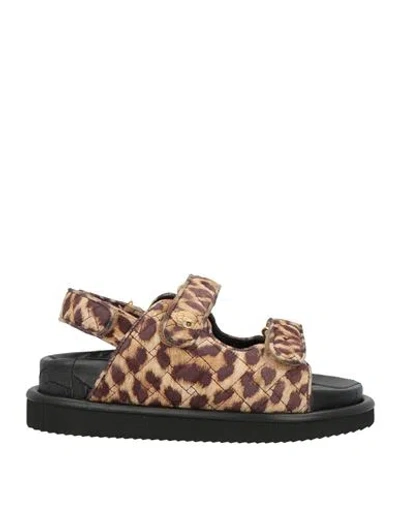 Kurt Geiger Woman Sandals Dark Brown Size 7.5 Textile Fibers In Multi