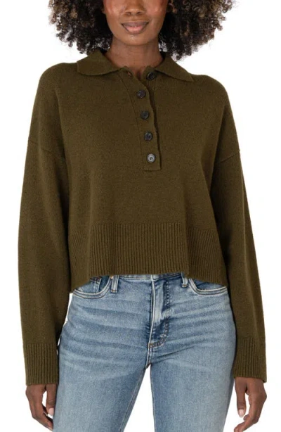 Kut From The Kloth Lilia Boxy Half Button Sweater In Olive