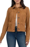 Kut From The Kloth Maddie Faux Suede Trucker Jacket In Brown
