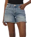 Kut From The Kloth Jane High Waist Denim Shorts In Multi