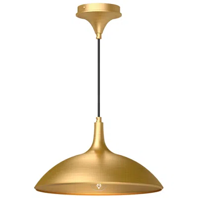 Kuzco Alora Mood Abel E26 14-in Brushed Gold Pendant