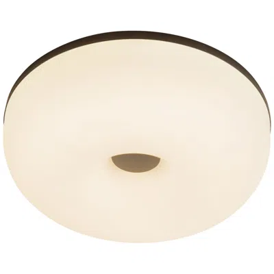Kuzco Jada 12-in Black Dimmable Led Flush Mount With Matte Opal Glass