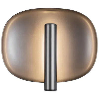 Kuzco Lustre 9-in Space Gray Dimmable Led Wall Sconce