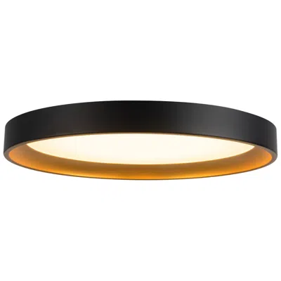 Kuzco Nix 12-in Black Dimmable Led Flush Mount With Gold Accents