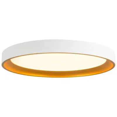 Kuzco Nix 12-in White Dimmable Led Flush Mount With Gold Accents