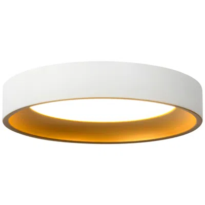 Kuzco Nix 7-in White Dimmable Led Flush Mount With Gold Accents