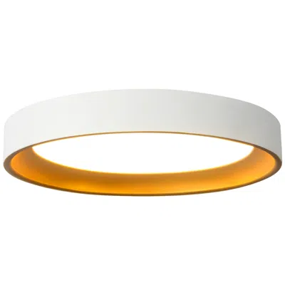 Kuzco Nix 9-in White Dimmable Led Flush Mount With Gold Accents