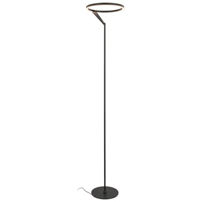 Kuzco Roda Led 13-in Black Led Floor Lamp