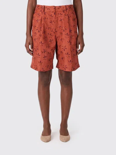 K-way ショートパンツ  レディース カラー ブラウン In Brown