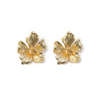 Kybele Studio Women's Gold Flora Earrings