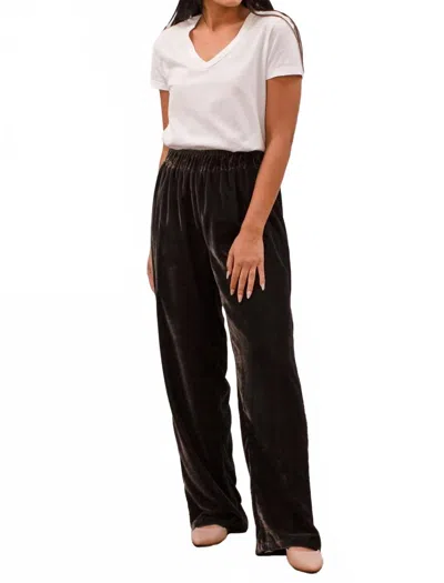 Kyla Seo Marin Velvet Pull On Pants In Charcoal In Multi