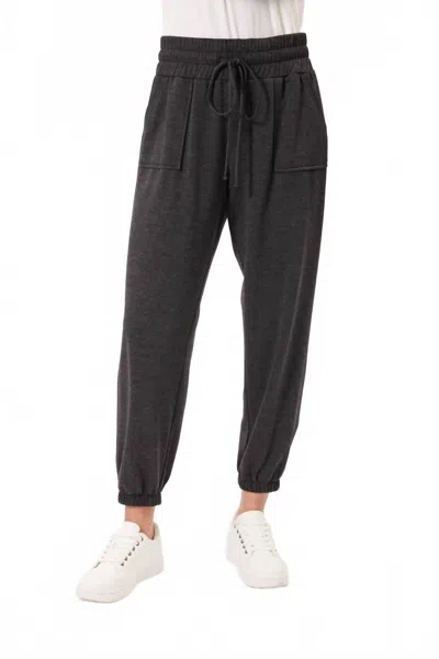 Kylie Paige Erin Drawstring Pants In Charcoal In Green