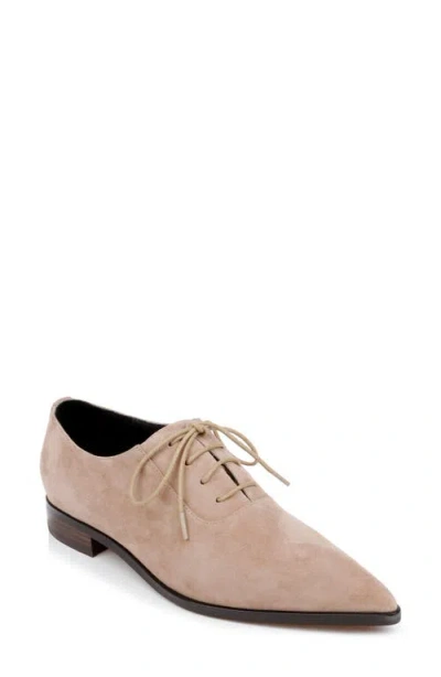 L Agence L'agence Elise Iii Pointed Toe Oxford In Cappuccino Suede