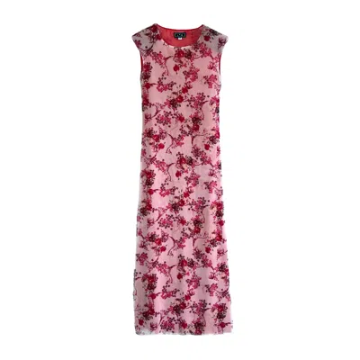 L2r The Label Women's Pink / Purple Shoulder Pad Printed Mesh Dress In Red & Pink In Pink/purple