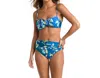 La Blanca Island Bandeau Bikini Top In Multi