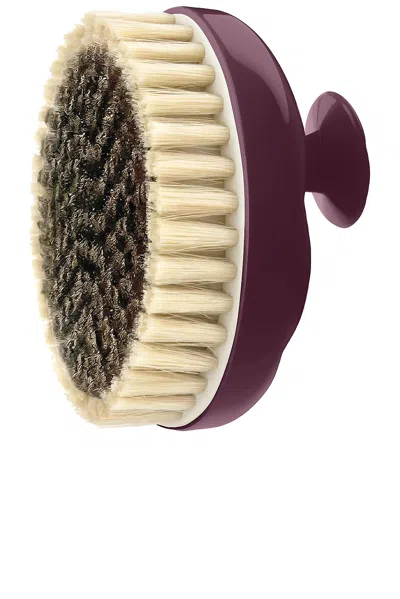 La Bonne Brosse Body Brush N01 Normal To Sensitive Skins In Aubergine