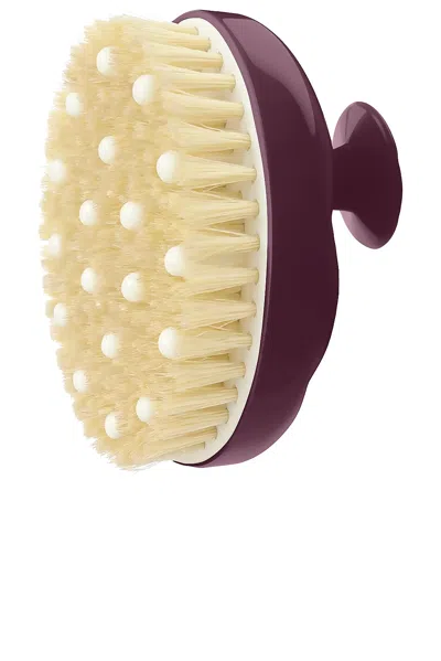 La Bonne Brosse Body Brush N02 Normal Skins In Aubergine