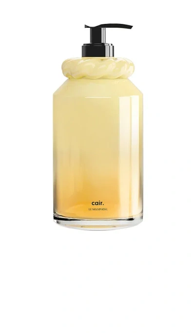 La Bonne Brosse The Big Shampoo In Transparent