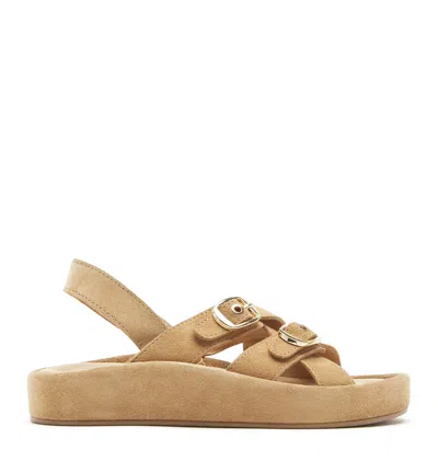 La Canadienne Athens Suede Sandal In Brown