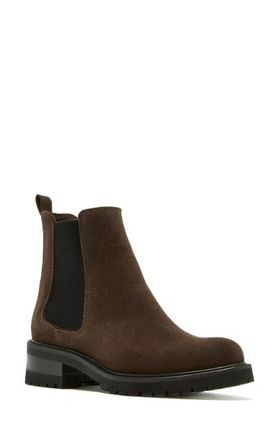 La Canadienne Paxton Waterproof Chelsea Boot In Brunette