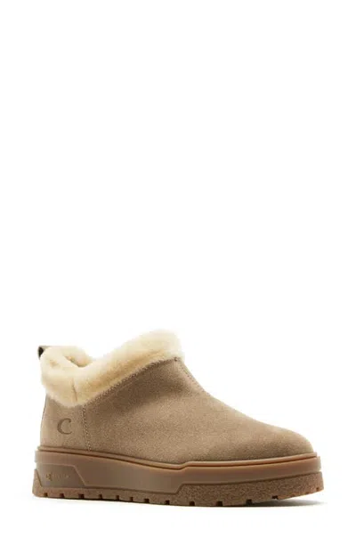 La Canadienne Essential Leather Boot With Genuine Shearling Trim In Gold