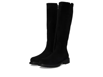 La Canadienne Harry In Black