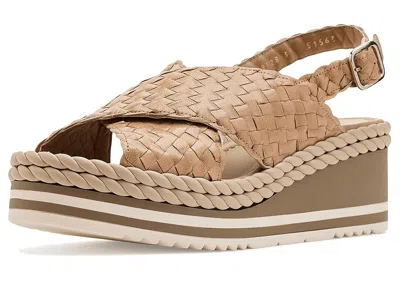 La Canadienne Paulo In Brown