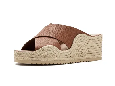 La Canadienne Rossa In Brown