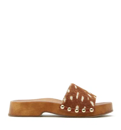 La Canadienne Sofia Bambi Print Clog Sandal In Neutral