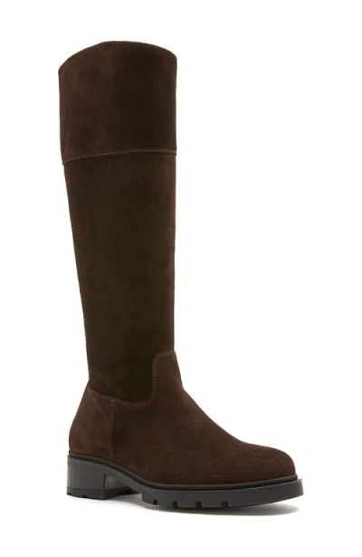 La Canadienne Sylas Tall Leather Boot In Brown