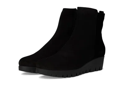 La Canadienne Teagan In Black