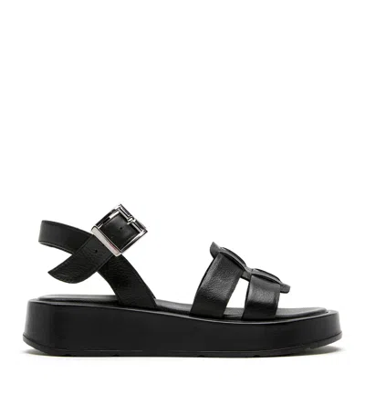 La Canadienne ?variant=43355663663241&country=us In Black